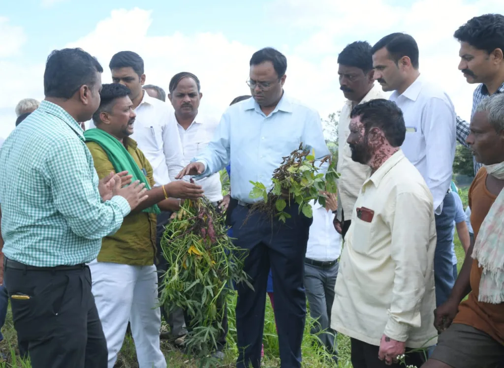 A review of the crop loss in Belgaum taluka by the district collector