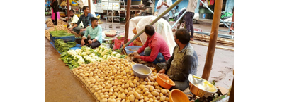 Vegetable prices stable