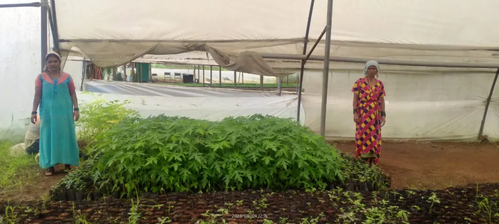 Combining women's empowerment with industry assurance