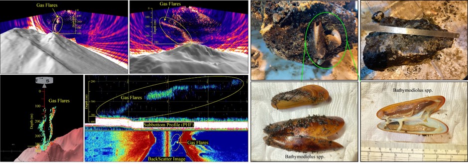 Discovery of submarine-volcano in Andaman-Nicobar