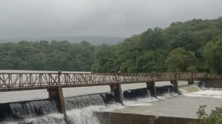 Kolhapur Rain Update : राधानगरी धरणाचा एक स्वयंचलित दरवाजा खुला automatic gate of Radhanagari dam opened kolhapur heavy rain