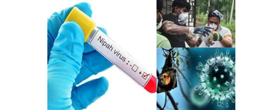 केरळमध्ये ‘निपा’चा प्रादुर्भाव, दक्षतेचा इशारा Nipah outbreak continues in Kerala