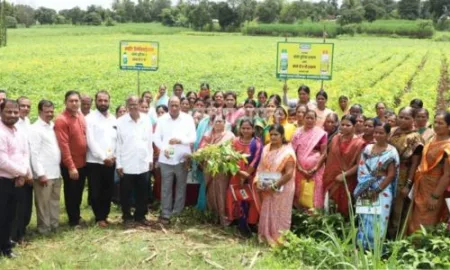 नॅनो खतांचा वापर करून उत्पादकता व गुणवत्ता वाढवण्यावर शेतकऱ्यांनी भर द्यावा- विश्वास पाटील