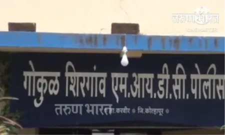 गोकुळ शिरगाव परिसरातील नऊ गुंड गणेशोत्सव काळात हद्दपार