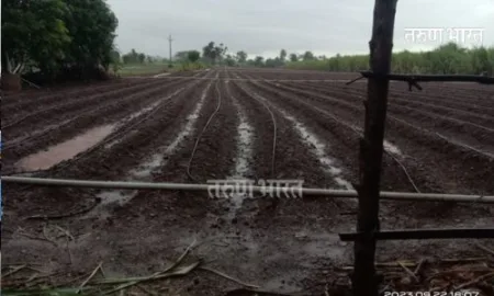 म्हैसाळ सह परीसरात मुसळधार! शेतकऱ्यांच्या रब्बी हंगामाची आशा पल्लवित!