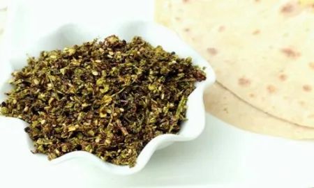 दोडक्याच्या शिरांची झणझणीत चटणी ridge gourd chutuny recipe