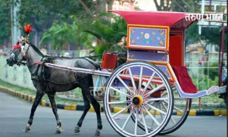 Tangas left in Kolhapur