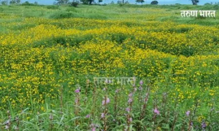 kolhapur Kagal The plateau Madyal