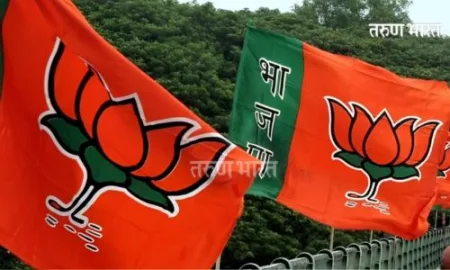 कोल्हापूर जिल्हा भाजपची जम्बो कार्यकारिणी जाहीर Kolhapur district BJP