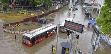 The sting of the snake river!