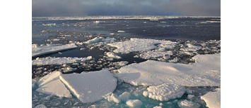Arctic ice is melting
