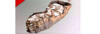 2200 year old shoe found in Austria