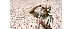 22.50 crore drought fund for Belgaum district