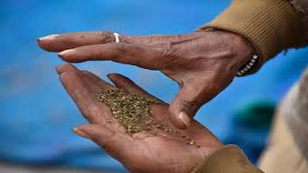 Rural teenagers addicted to marijuana