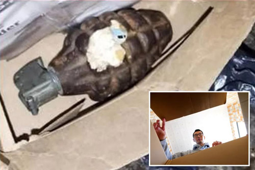 Asked for mobile, got hand grenade