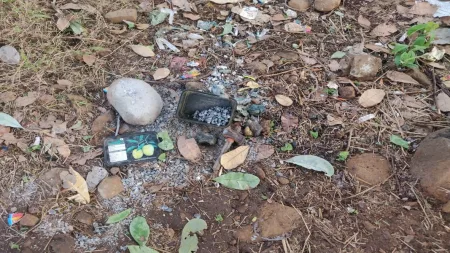 मळेवाड येथे गावठी बॉम्ब खाल्ल्याने वासराचा मृत्यू