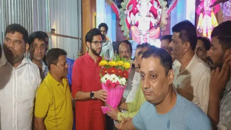 ज्यांना महत्त्व नाही त्यांच्याविषयी काय बोलायचं !