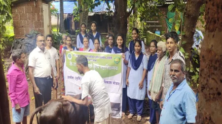 वाढत्या लंपी स्कीन आजाराचा प्रादुर्भाव रोखण्यासाठी कृषी कन्यांनी केले लसीकरणाचे आयोजन