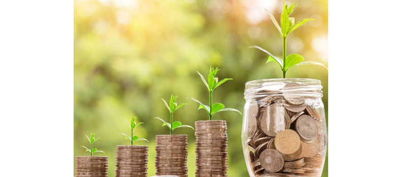 देशांतर्गत बचतीवर कोणतेही संकट नाही ! There is no crisis on domestic savings!