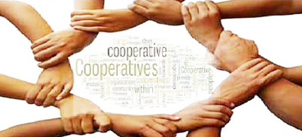 कोप्रॅन्युअर: सहकारातील नवोन्मेषक Copreneurs: Innovators in Cooperatives