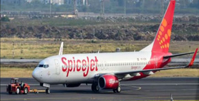 SpiceJet shares fall