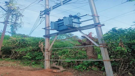 मळेवाड येथे बसविण्यात आला नवीन ट्रान्सफॉर्मर : ग्रामस्थांमध्ये समाधान