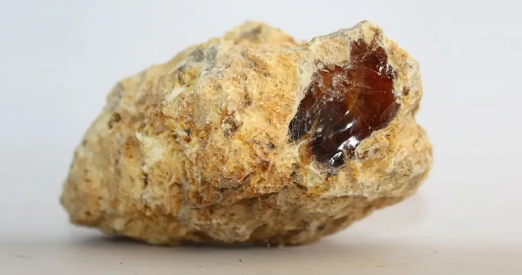 Whale vomit worth 5 crore seized in Pune