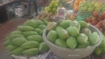 Eat mangoes even in the off season!