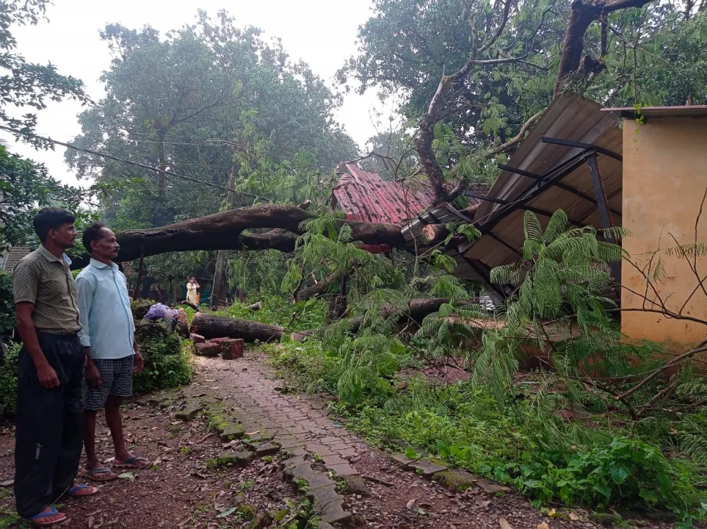 Fall of trees at Upper Harvale