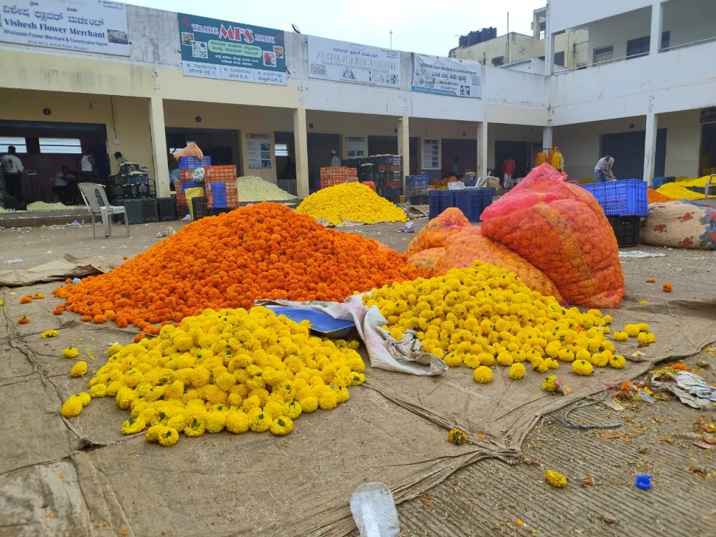 नवरात्रोत्सवासाठी आकर्षक फुलांची आवक Arrival of attractive flowers for Navratri festival