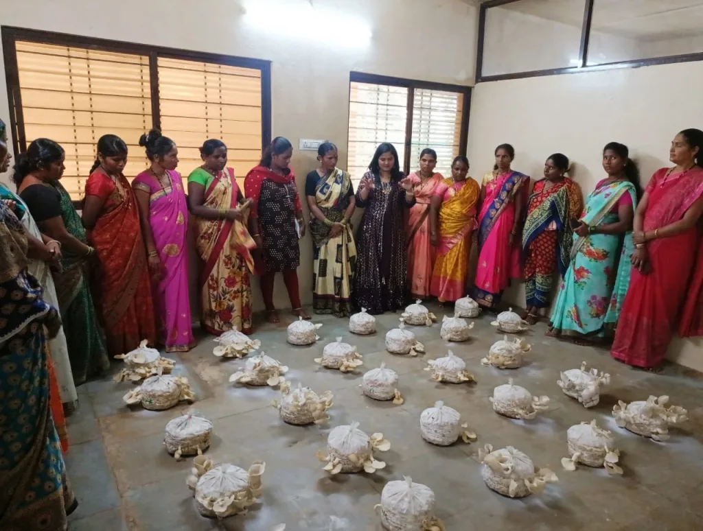 Training on artificial jam production