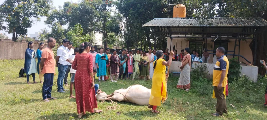 Animal training for animal lovers