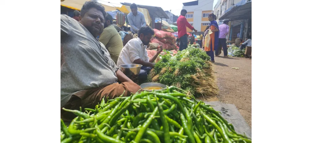 Eggplant, onion increase, okra prices fall, leafy vegetables on the rise