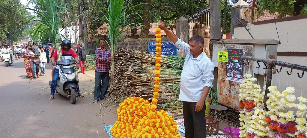 Sugarcane-marigold arrival for Khandenavami