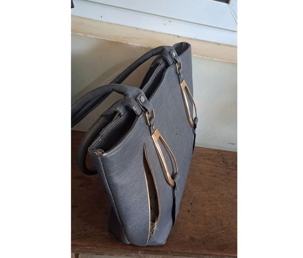 महिलेच्या पर्समधील 8 तोळे सोन्याचे दागिने लंपास 8 tola gold ornaments stolen from woman's purse