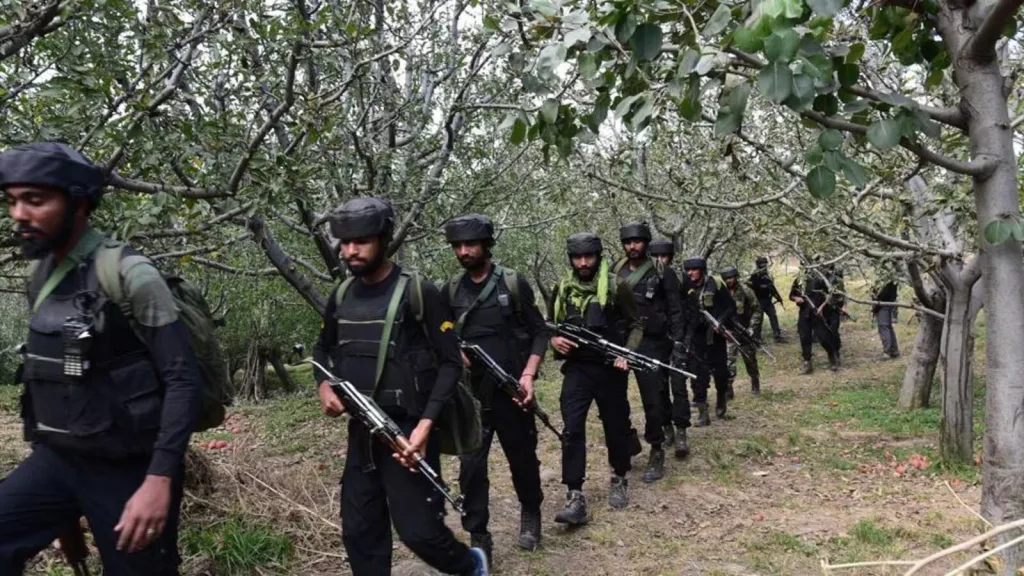 5 Lashkar-e-Toiba terrorists killed