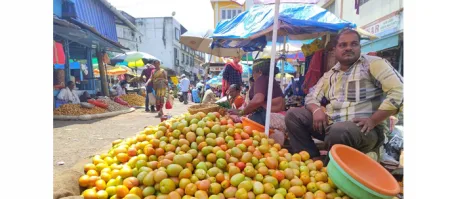 Slow rise in vegetable prices