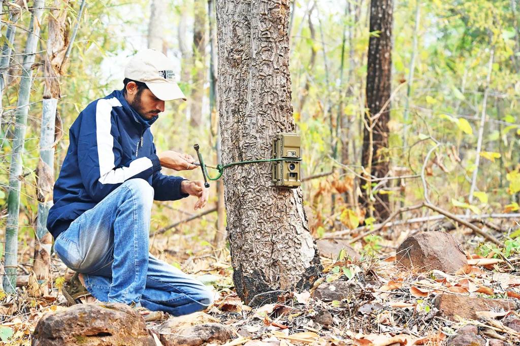 Camera support for leopard-like animal detection