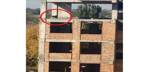 श्वानाचा आत्महत्येचा प्रयत्न A dog's suicide attempt