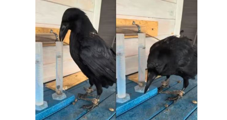 ती गोष्ट खोटी नव्हती तर… If it wasn't a lie...