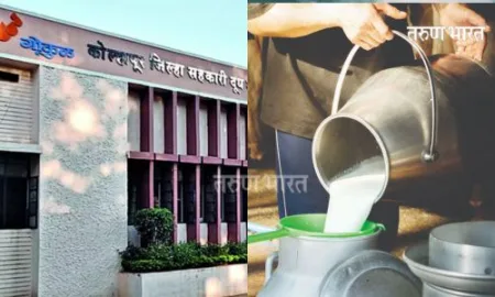 Diwali gift from Gokul Milk producers