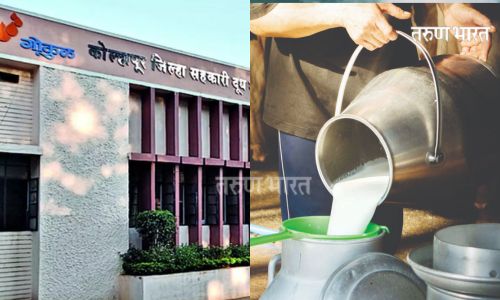 Diwali gift from Gokul Milk producers