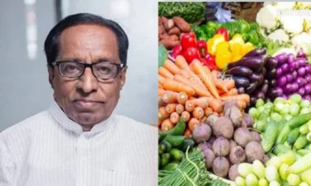 सांगलीत शेतमाल तपासणी प्रयोगशाळा उभारण्यासाठी १७ कोटींचा निधी; आमदार अनिल बाबर यांची माहीती Sangli MLA Anil Babar