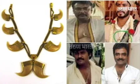 वाघनख्यांचे फोटो आणि नेता, अभिनेता आणि आध्यात्मिक गुरूजीची चौकशी; जाणून घ्या काय आहे हे प्रकरण