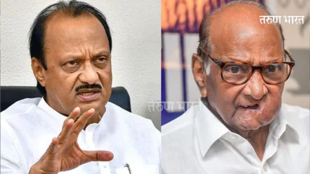 शरद पवार घर चालवल्याप्रमाणे पक्ष चालवतात; अजित पवार गटाचा युक्तीवाद