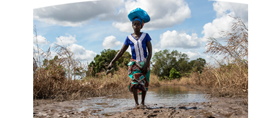 Diseases are spreading due to climate change