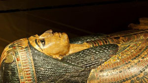 5 thousand years old liquor found in Egypt