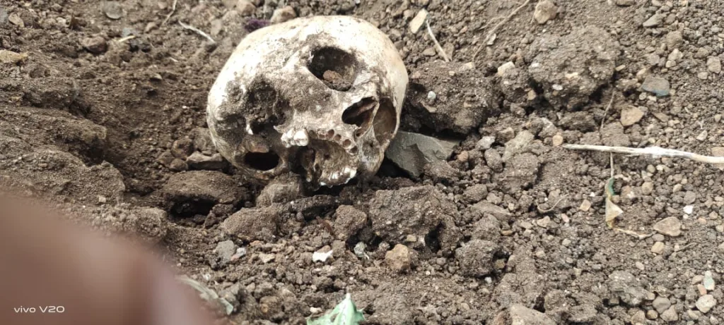 शेत नांगरताना सापडला महिलेचा सडलेला सापळा व अन्य वस्तू! नांदणी येथील घटनेने परिसरात खळबळ