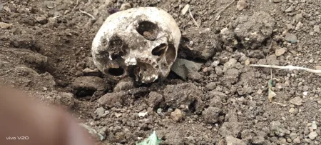 शेत नांगरताना सापडला महिलेचा सडलेला सापळा व अन्य वस्तू! नांदणी येथील घटनेने परिसरात खळबळ