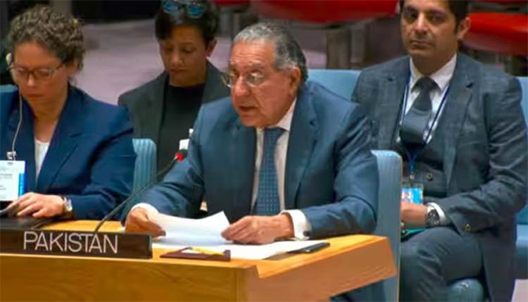 Pakistan's support for UN terrorism